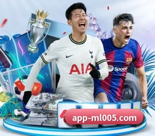 米乐体育 APP 界面